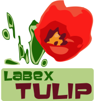 Labex Tulip